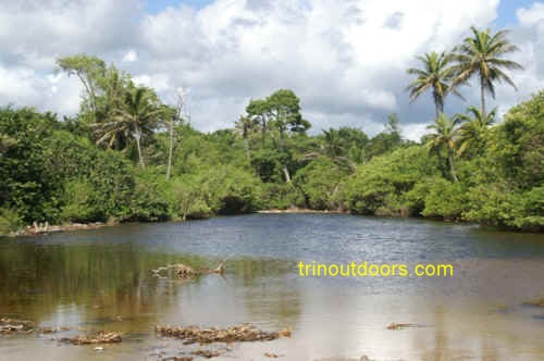 mayaro small river mouth.jpg (79308 bytes)