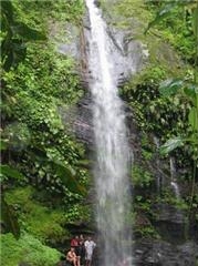 sobo falls.jpg (36622 bytes)